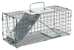 squirrel trap reviews