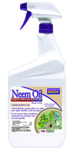 neem oil