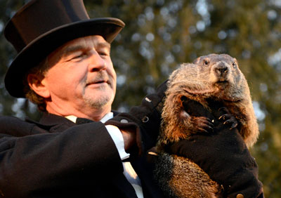 How to Get Rid of Groundhogs FAST so they Don't Destroy Your Yard