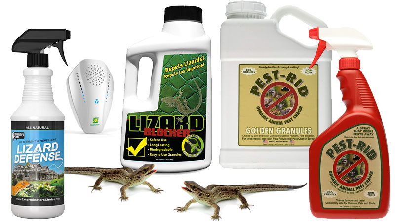 best lizard repellent