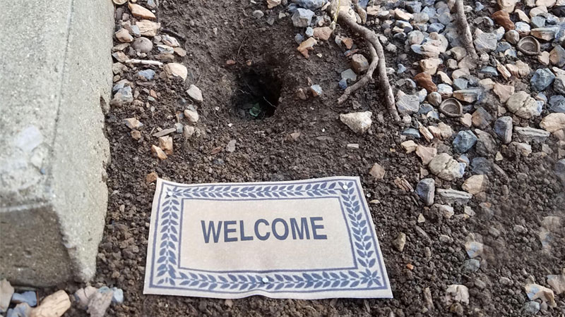 prevent chipmunk holes