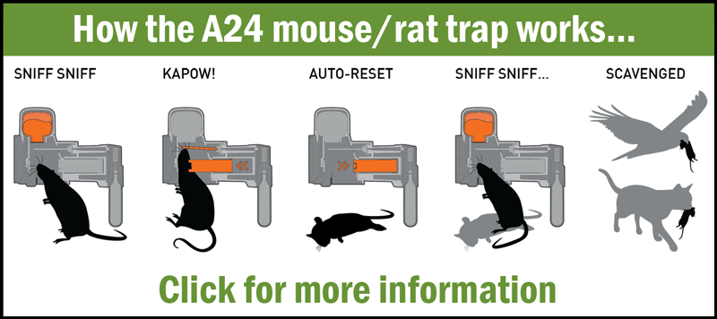ATC mouse trap banner