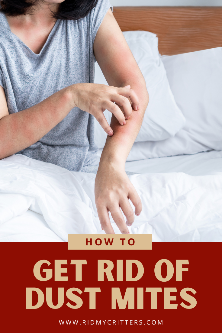 GRO dust mites pin