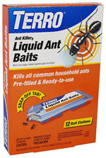 ant bait trap