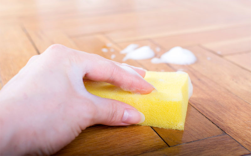 cleaning spider poop off floor