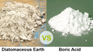 de vs boric acid featured
