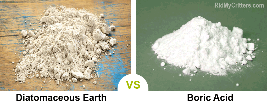 de vs boric acid