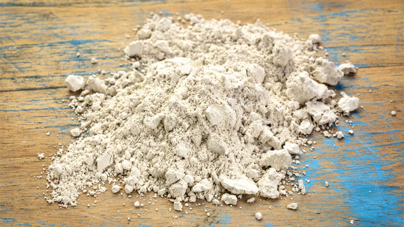 Diatomaceous Earth