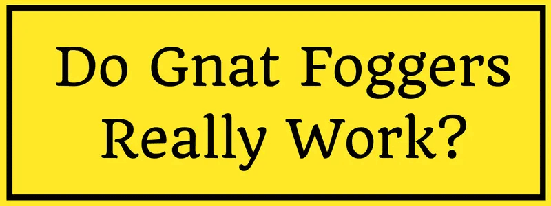do gnat foggers work?