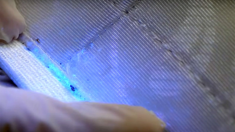 finding bed bugs with a UV light