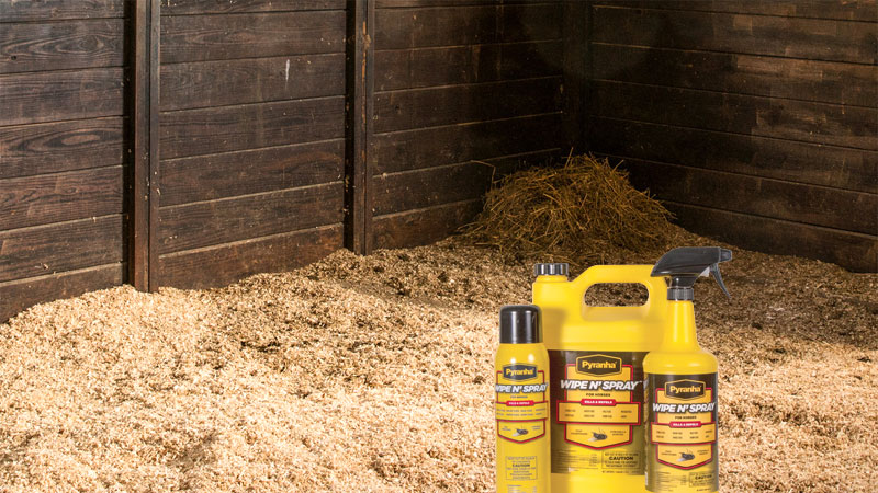 fly repellent for horses