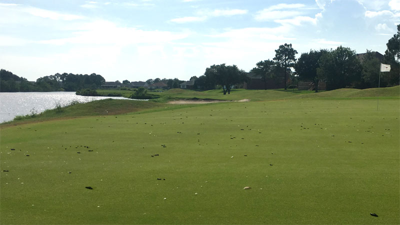 goose droppings golf course