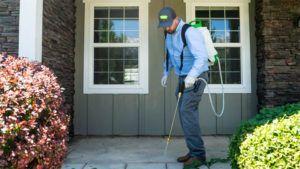 how much does an exterminator cost?