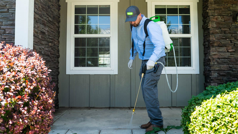 how much does an exterminator cost?