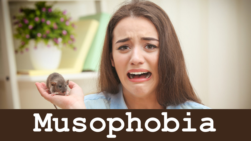musophobia