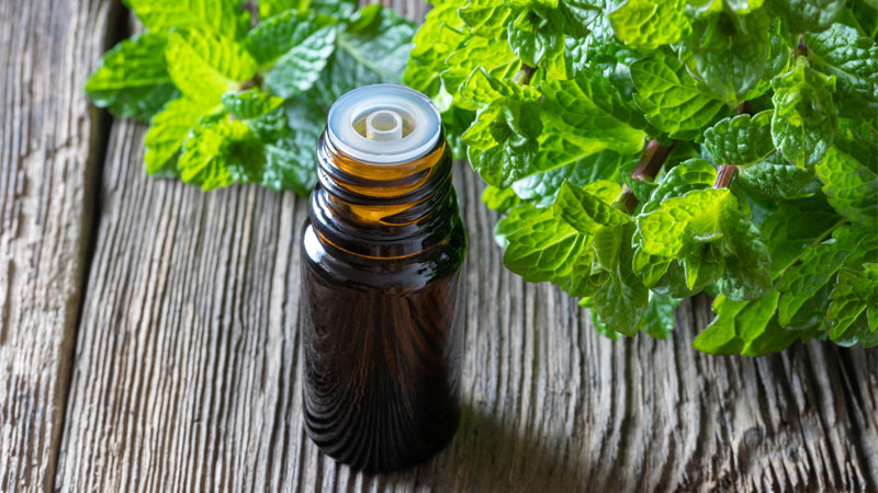 peppermint oil