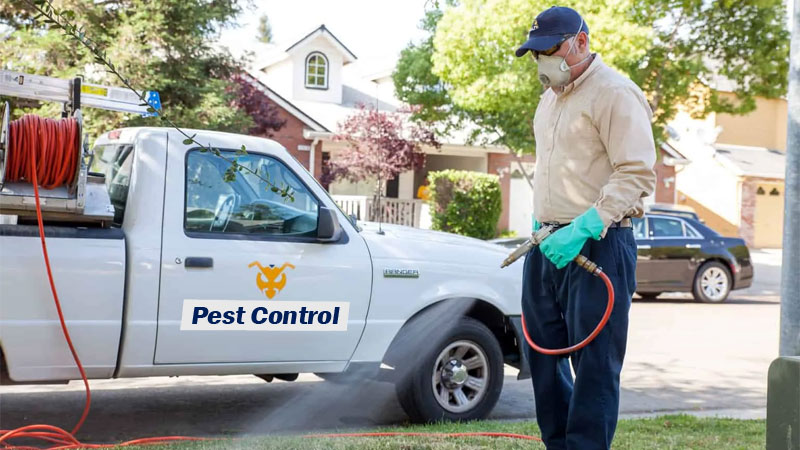 pest control prices