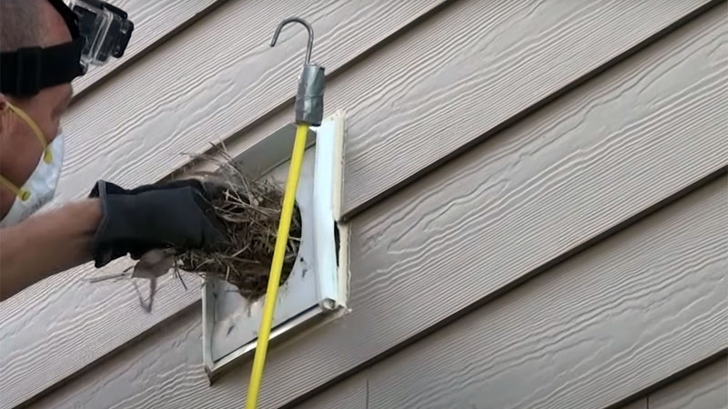 removing bird nest from vent