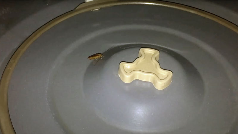 roaches in microwave