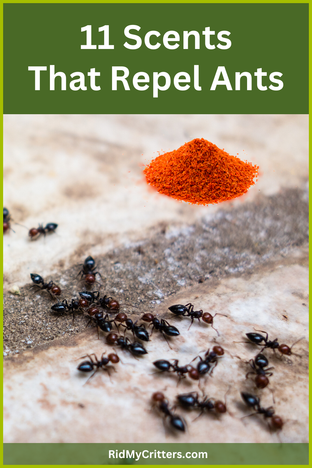 scents that repel ants PIN