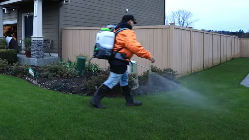 spraying lawn