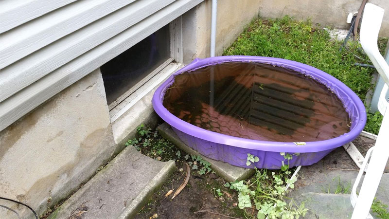 standing water in yard